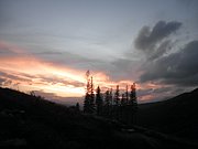 PB060057.JPG