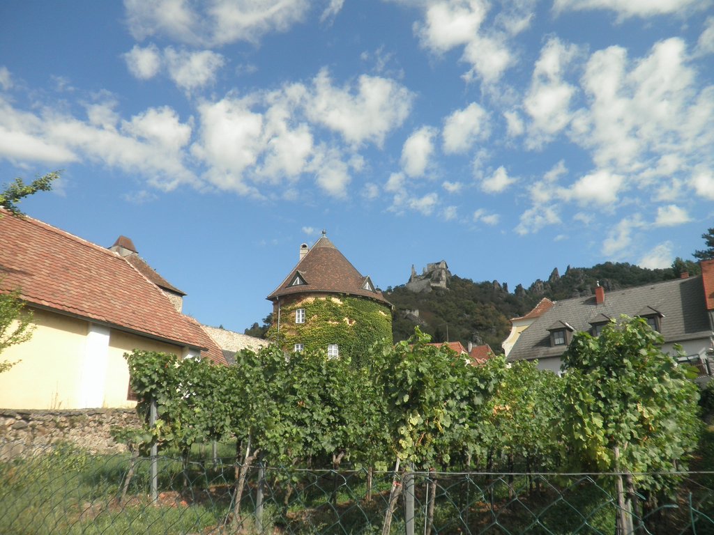 P9150071.JPG