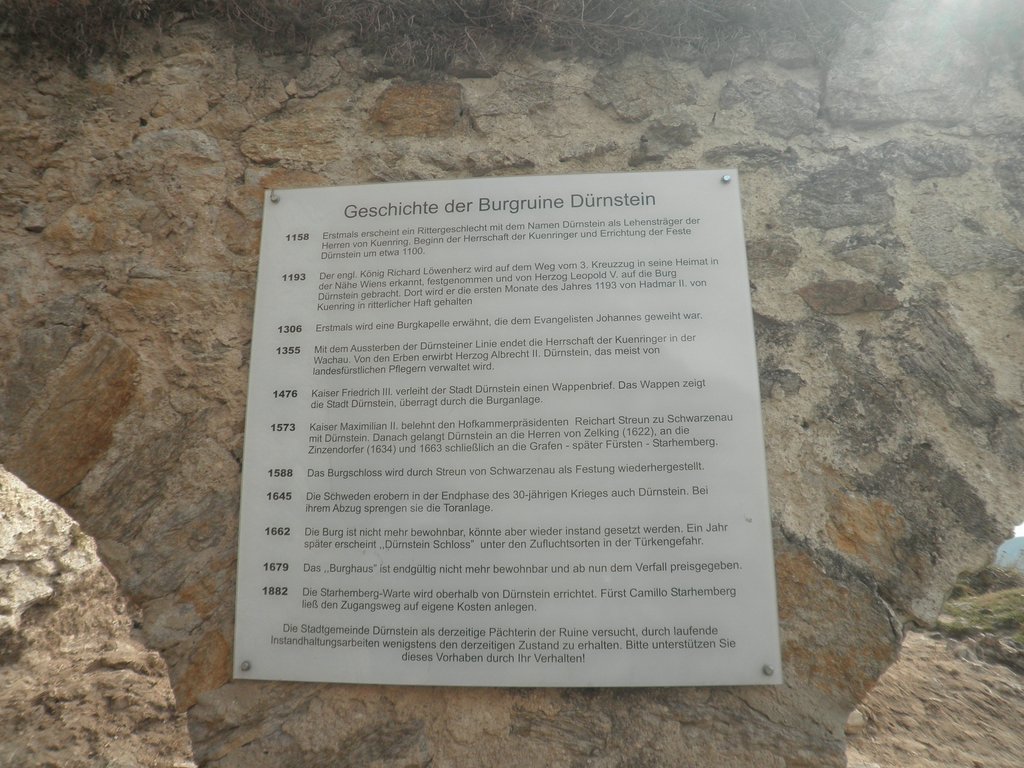 P9150083.JPG