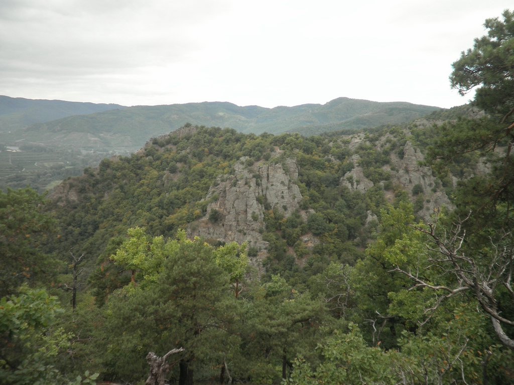 P9150090.JPG