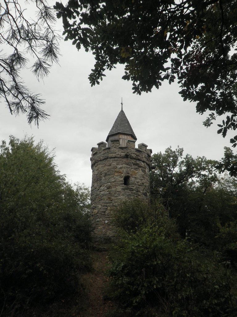 P9150093.JPG