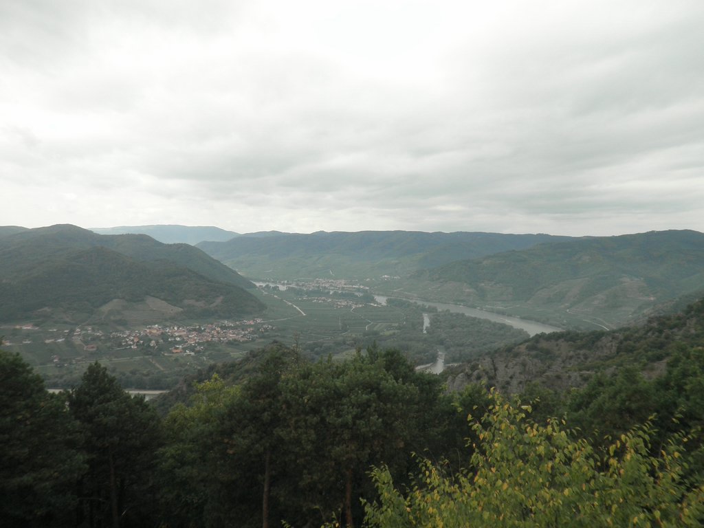 P9150095.JPG