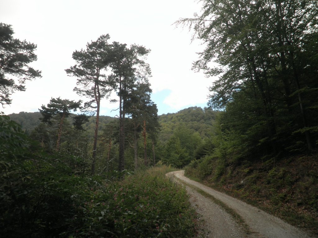 P9150111.JPG