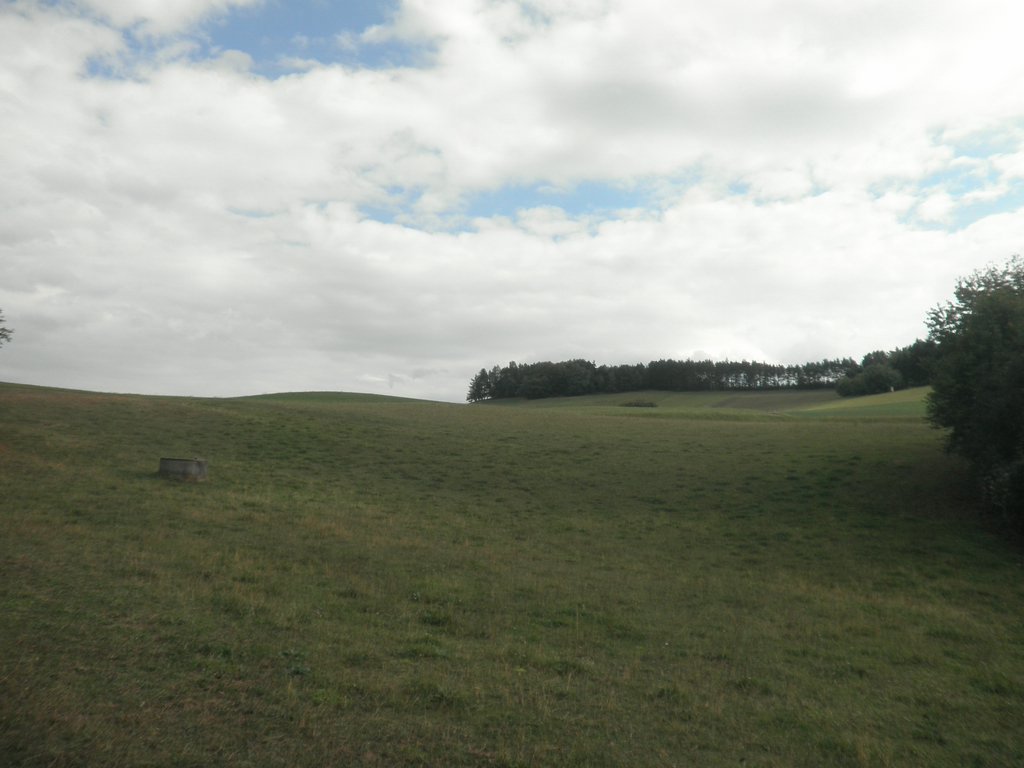P9150113.JPG