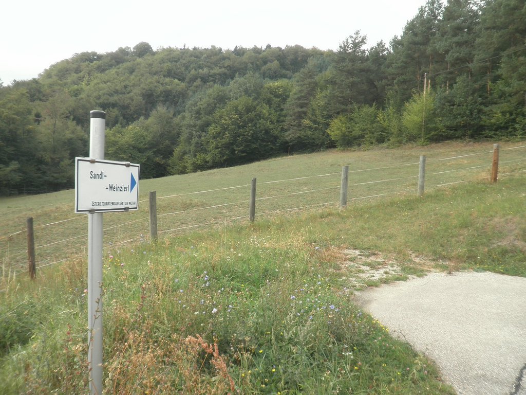 P9150115.JPG