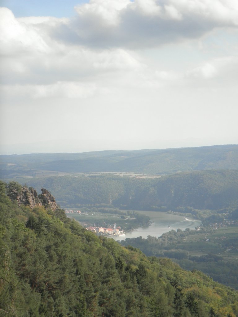 P9150130.JPG