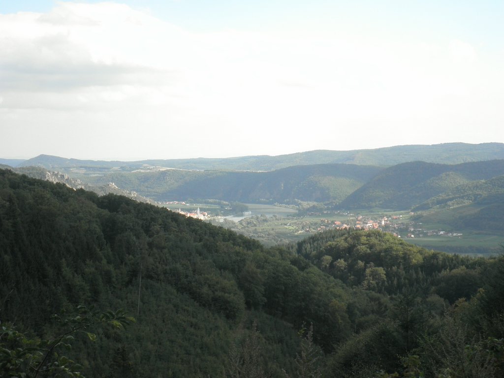 P9150131.JPG