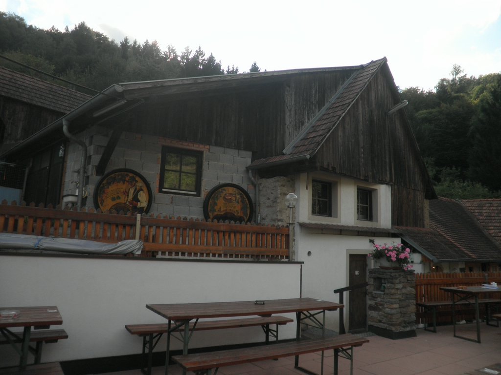 P9150137.JPG