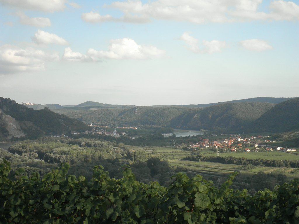 P9150144.JPG