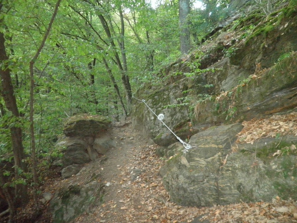 P9150147.JPG
