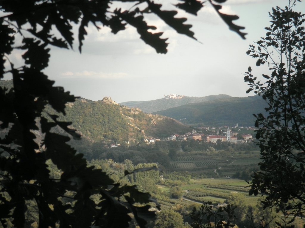 P9150148.JPG