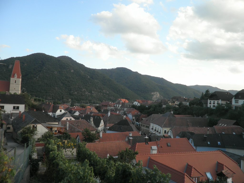 P9150157.JPG