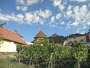 P9150071.JPG