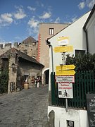 P9150072.JPG