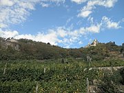 P9150074.JPG