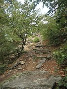P9150089.JPG