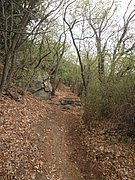 P9150092.JPG