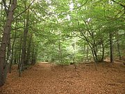 P9150101.JPG