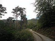 P9150111.JPG