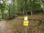 P9150112.JPG