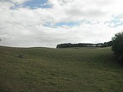 P9150113.JPG