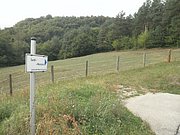 P9150115.JPG