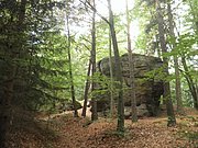 P9150118.JPG