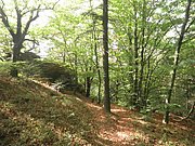 P9150125.JPG