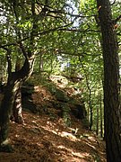 P9150127.JPG