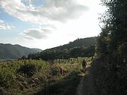 P9150143.JPG