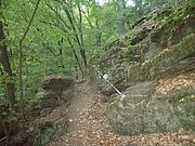 P9150147.JPG