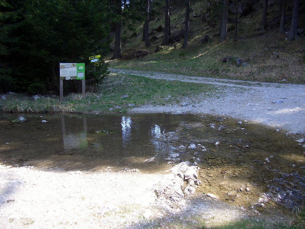 CIMG4739.JPG