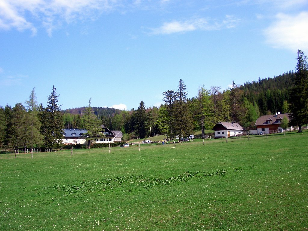 CIMG4746.JPG