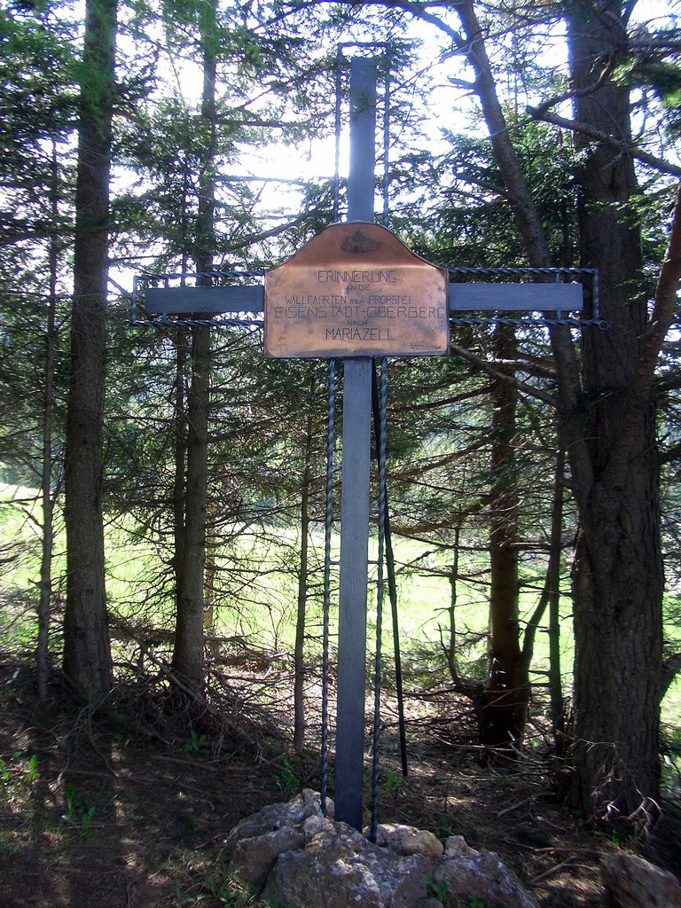 CIMG4748.JPG