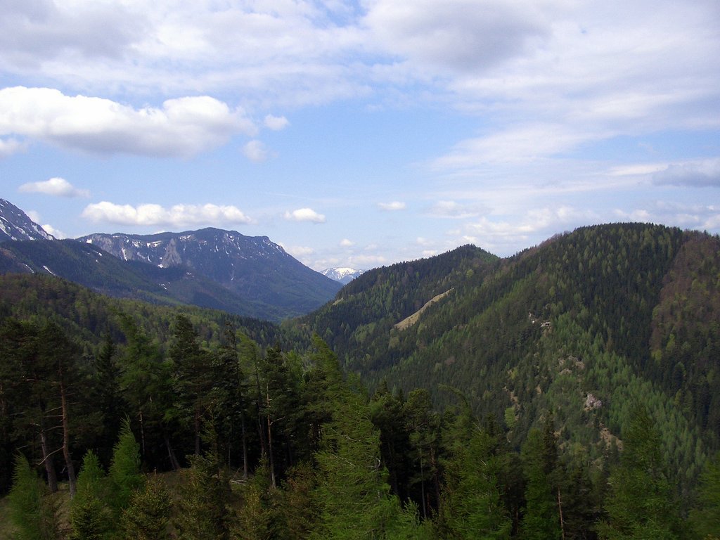 CIMG4755.JPG