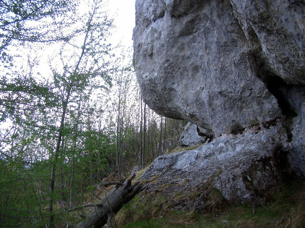 CIMG4765.JPG