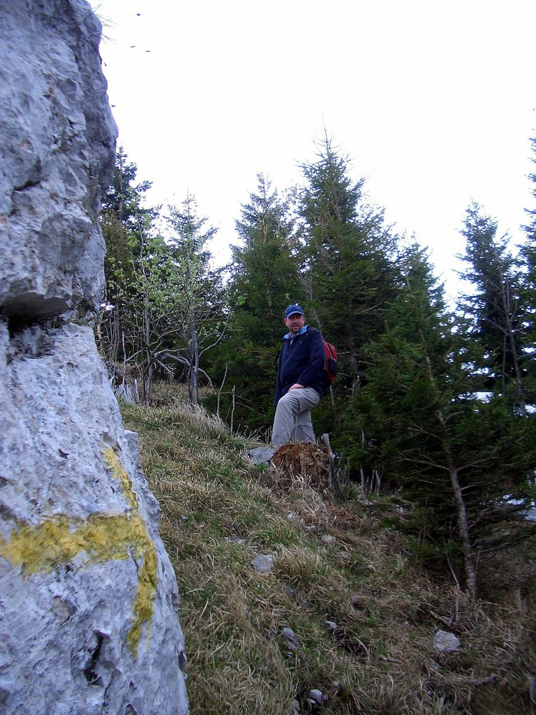 CIMG4766.JPG