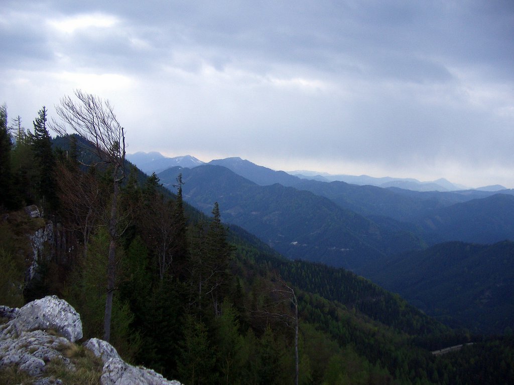 CIMG4769.JPG
