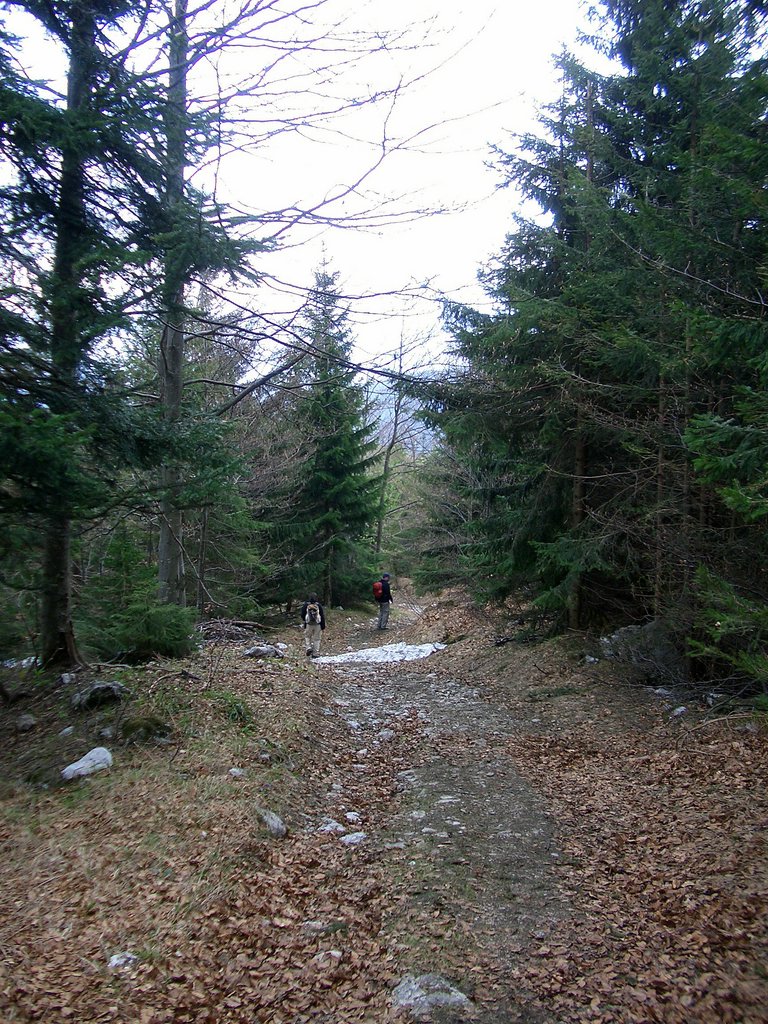 CIMG4776.JPG