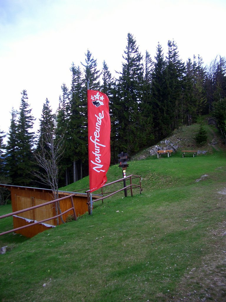CIMG4778.JPG