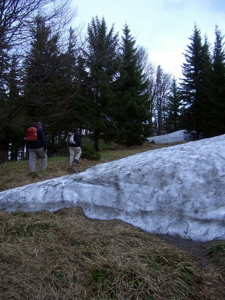 CIMG4789.JPG