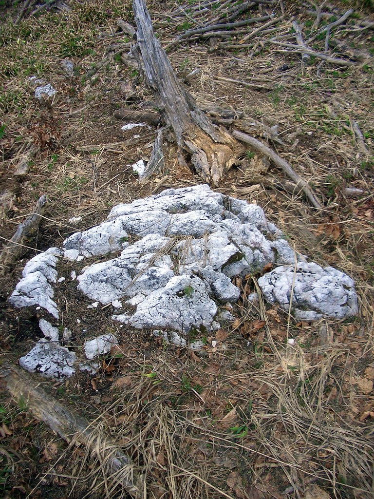 CIMG4798.JPG
