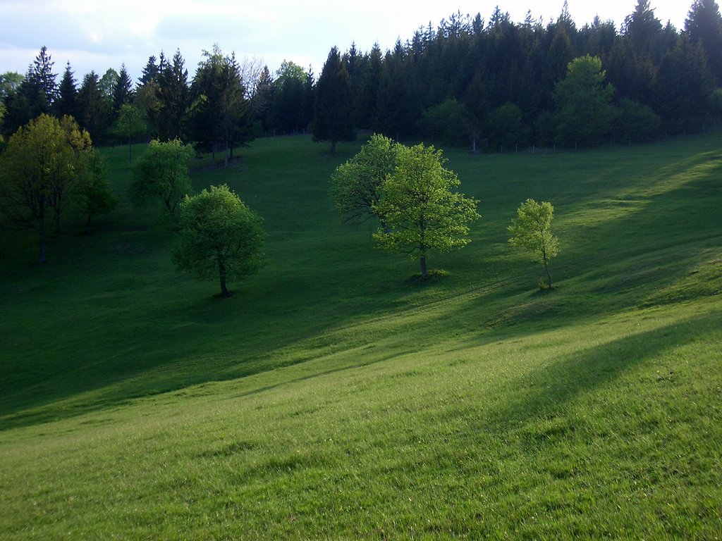 CIMG4853.JPG