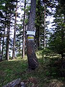 CIMG4753.JPG
