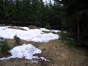CIMG4763.JPG