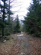CIMG4776.JPG
