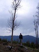CIMG4796.JPG
