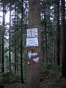 CIMG4825.JPG