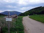 CIMG4842.JPG