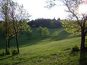 CIMG4852.JPG